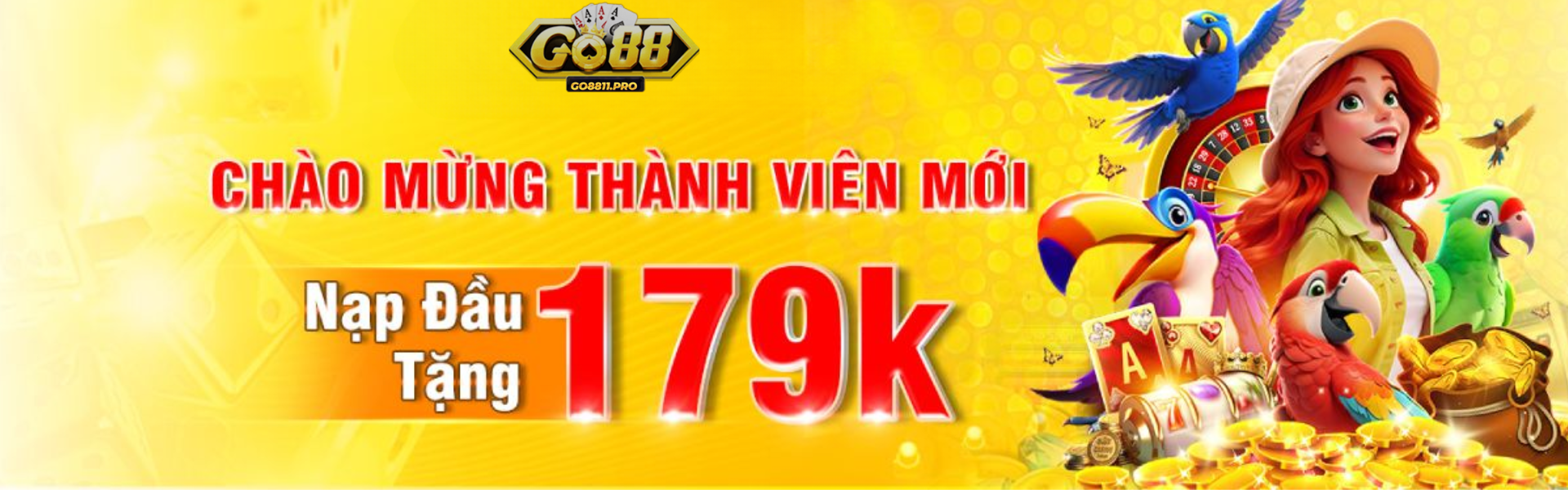 Banner www.vietproaudio.vn